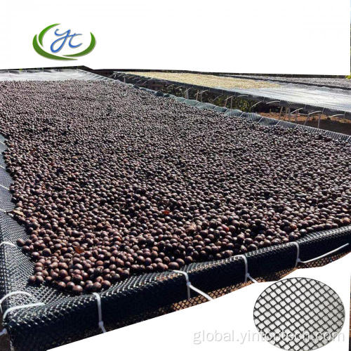 Plastic Mesh Net Plastic Mesh Wire For Beans Bed Manufactory